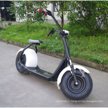 Chine fournisseur 1000W Scooter électrique avec Bluetooth (JY-ES005)